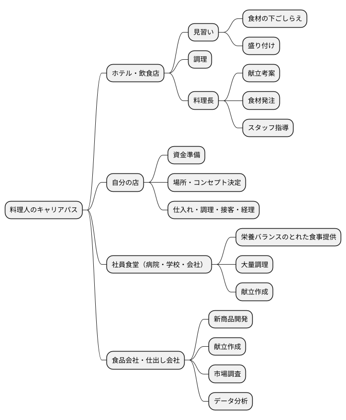 将来の展望とキャリアパス