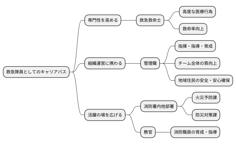 キャリアパスの可能性
