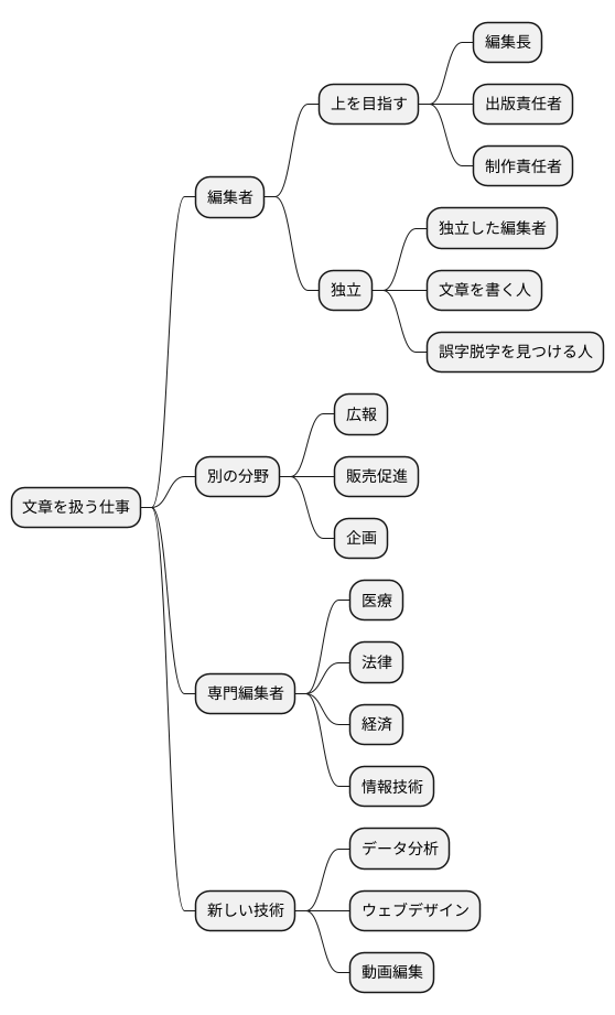 キャリアパスの可能性