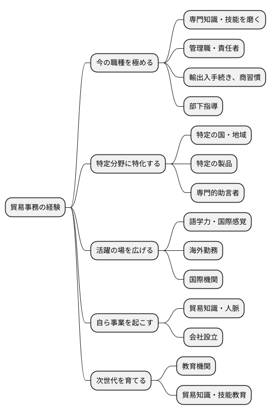 キャリアパスの選択肢
