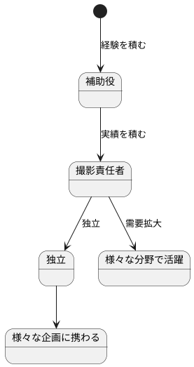 キャリアパスと将来性