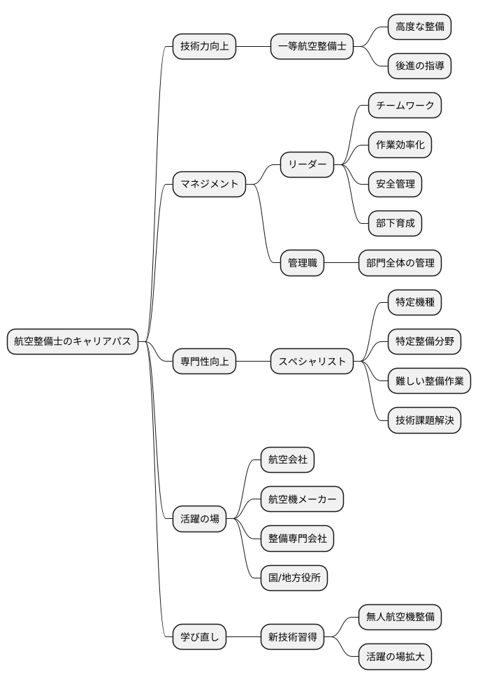 将来のキャリアパス