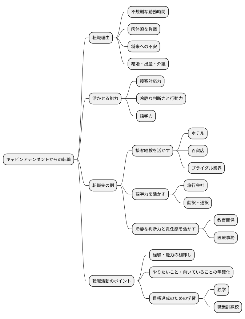 空の仕事からの転身