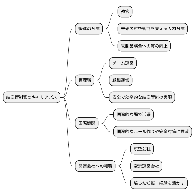 キャリアパスの広がり