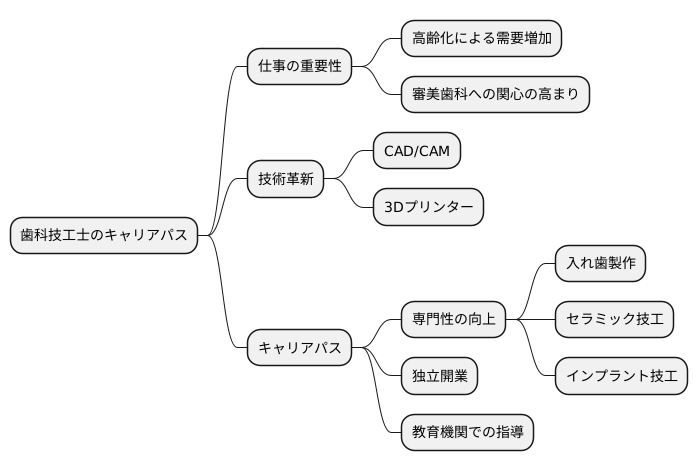 将来の展望とキャリアパス