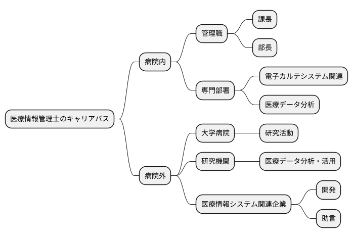 今後のキャリアパス