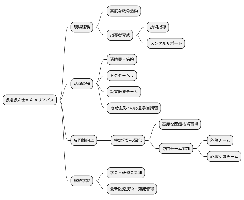 キャリアの展望