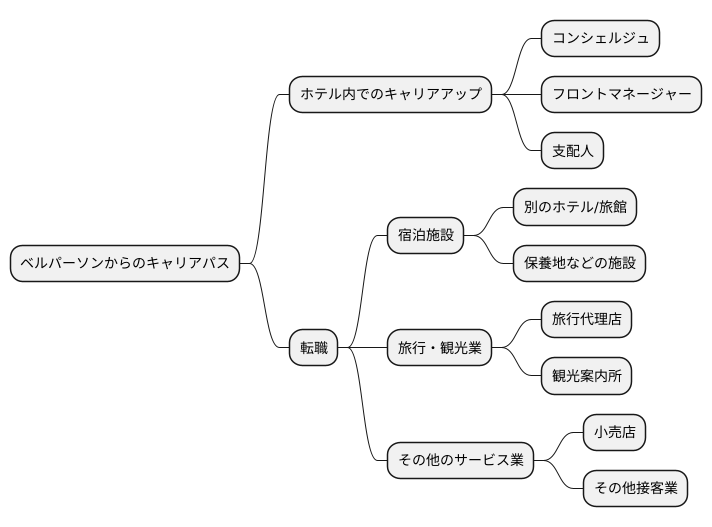 新たなキャリアパス