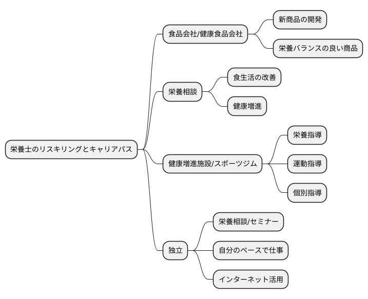 新たなキャリアパス