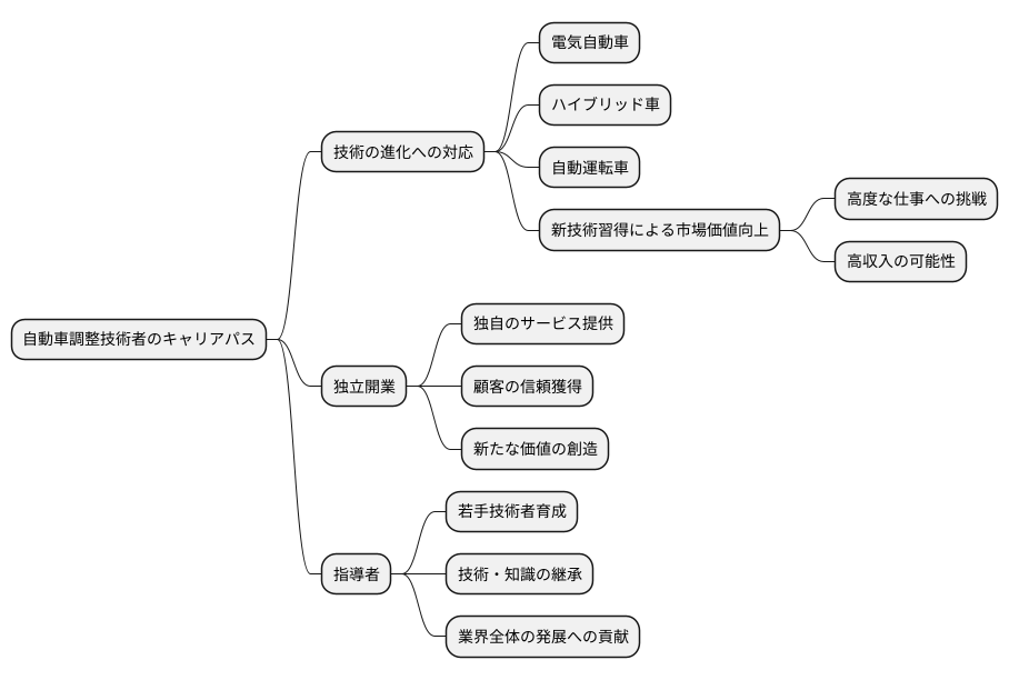 将来の展望
