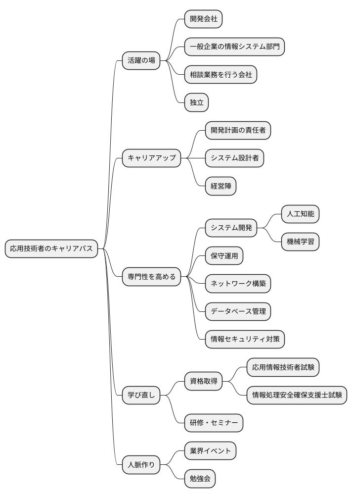 キャリアパスの展望