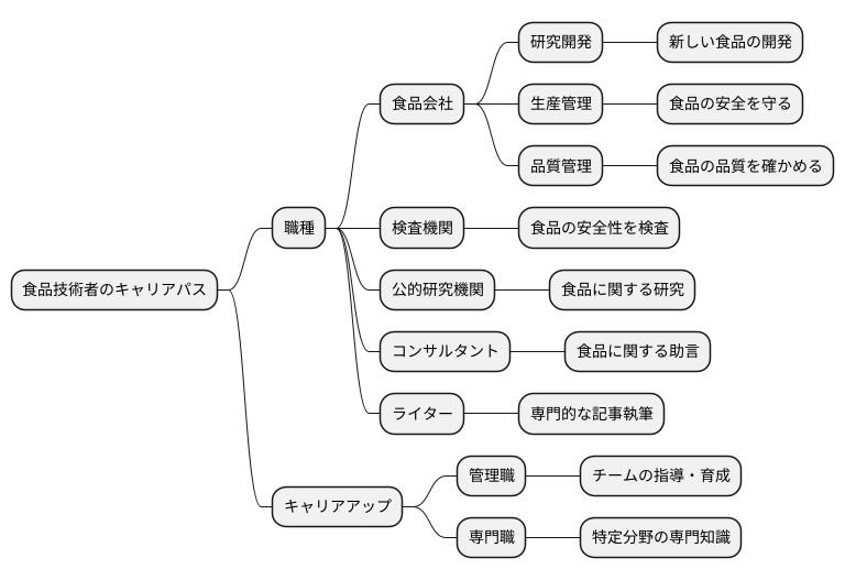キャリアパスの多様性