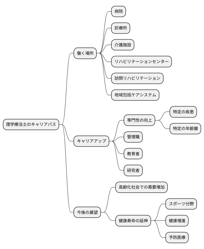 キャリアパスと将来展望