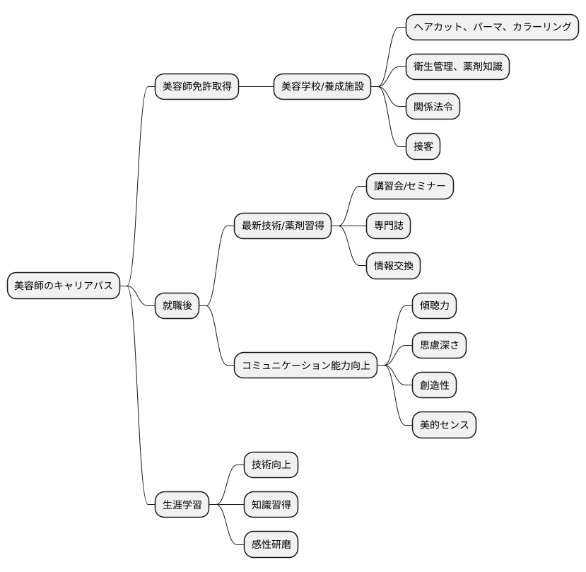 美容師に必要な学び