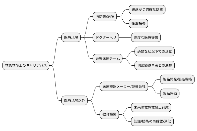 資格取得後のキャリアパス