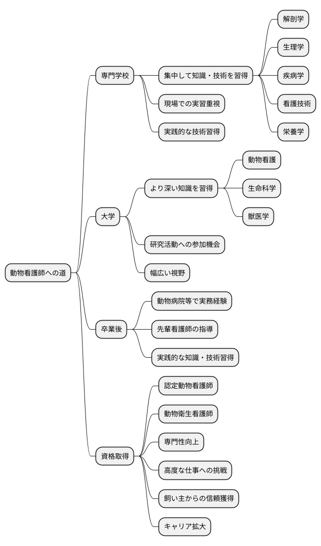 資格取得の道