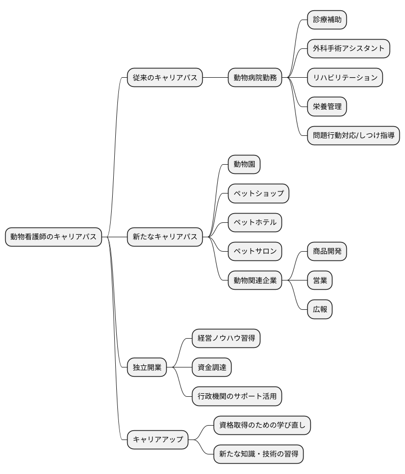 キャリアパスの多様性
