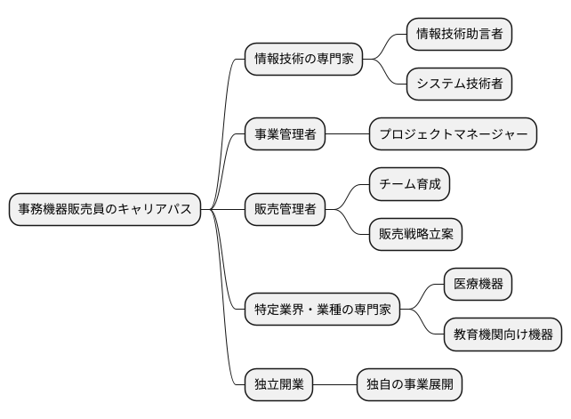 将来のキャリアパス