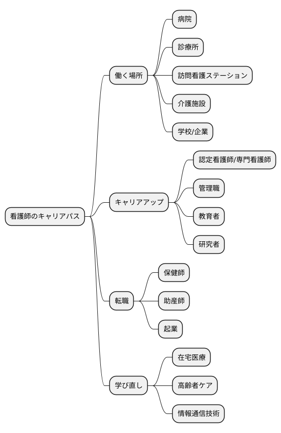 キャリアパスの選択肢