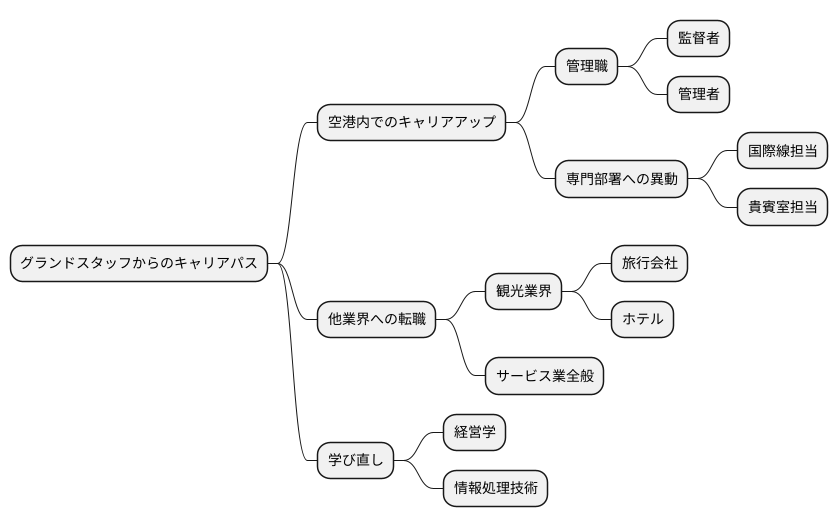 キャリアパスの広がり