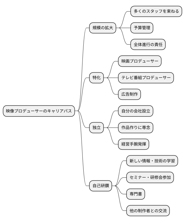 キャリアアップの可能性