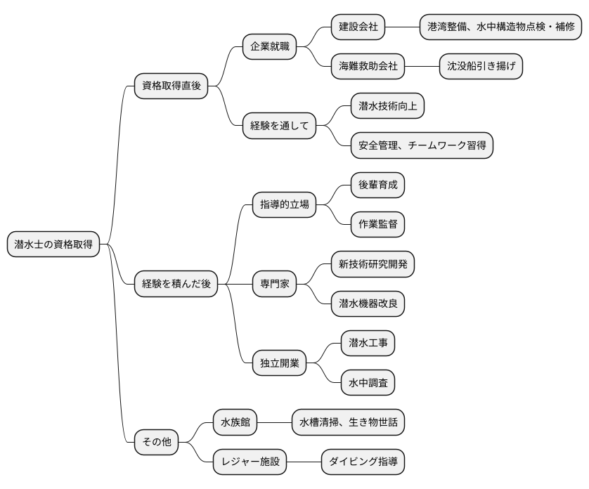 資格取得後のキャリアパス