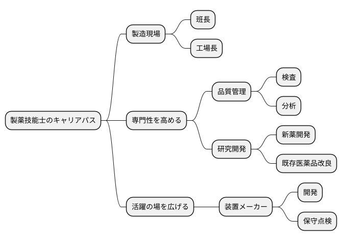 将来のキャリアパス