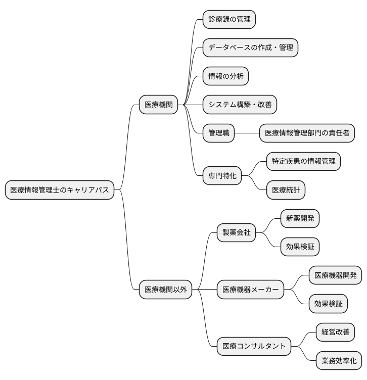 今後のキャリアパス