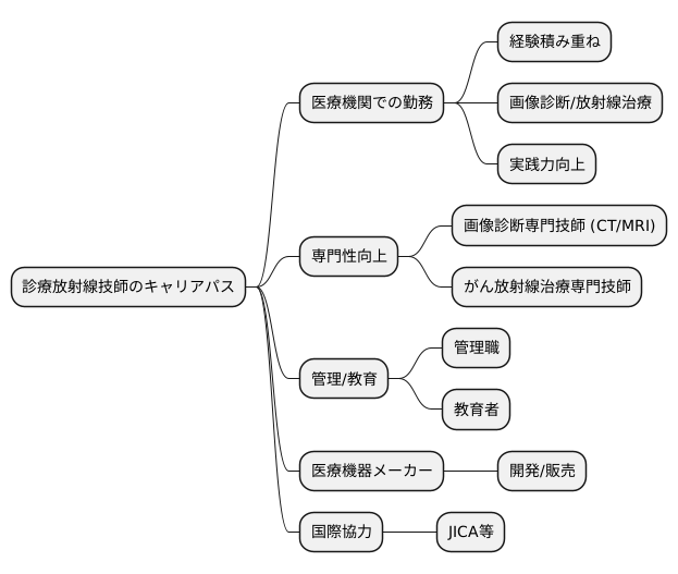 キャリアパス