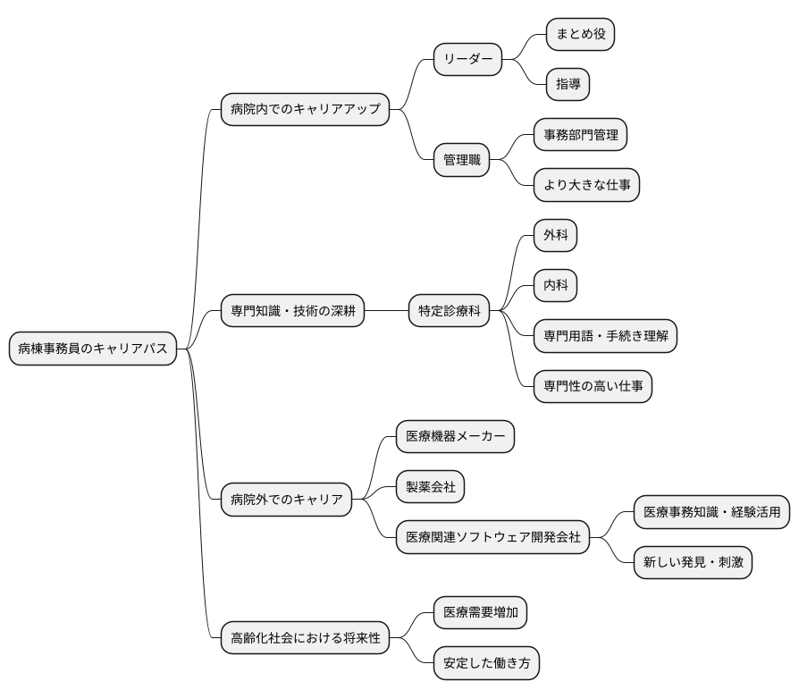 キャリアパスと将来性