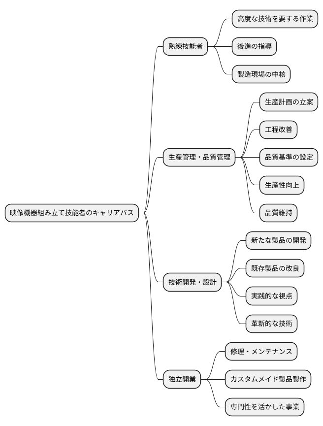 将来のキャリアパス