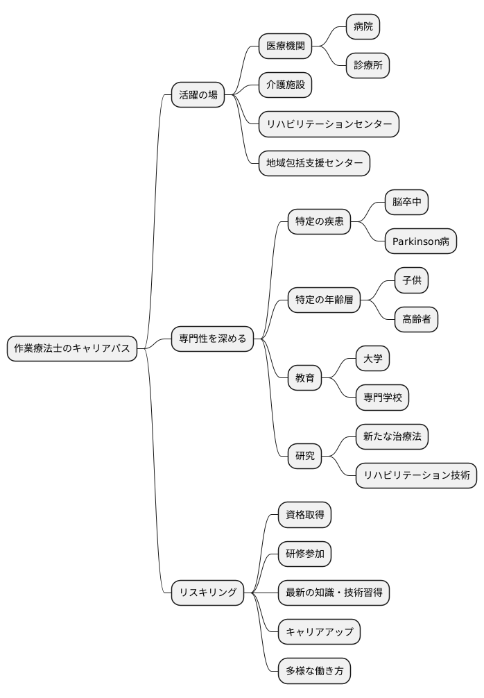 将来のキャリアパス