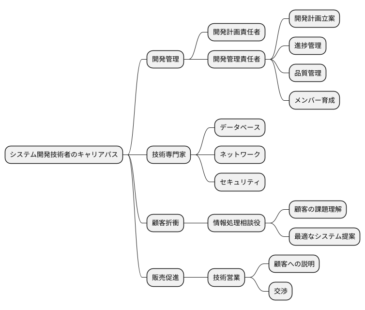 キャリアパス