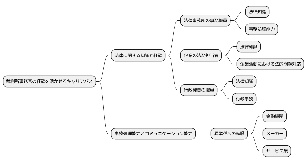 新たな道への挑戦
