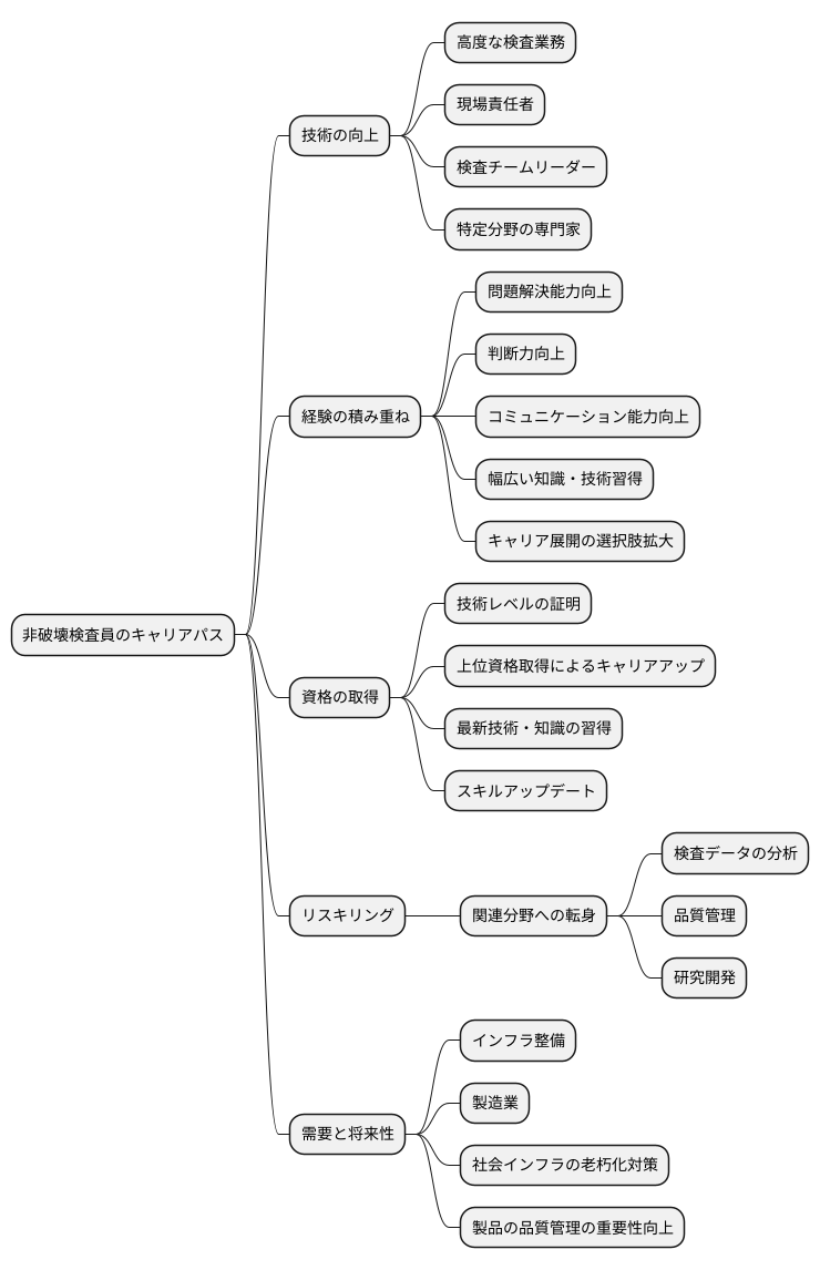 キャリアパスの展望