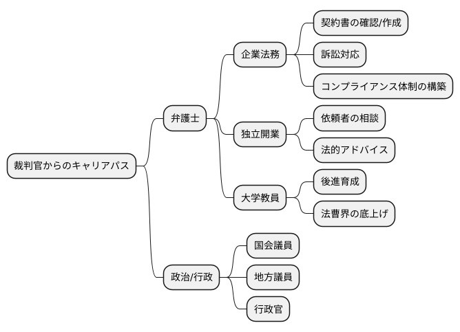新たなキャリアパス