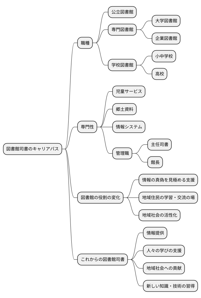 キャリアパスと展望