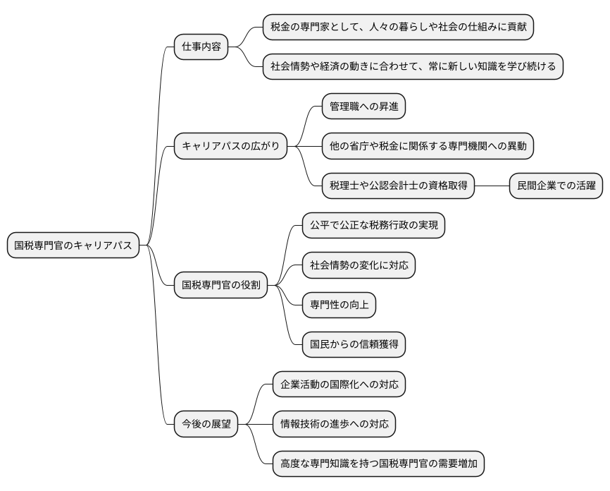 将来の展望