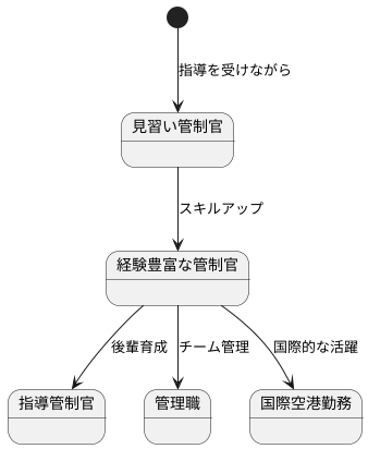 キャリアパスの展望
