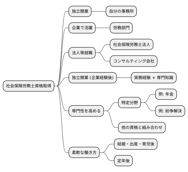 キャリアパスの可能性