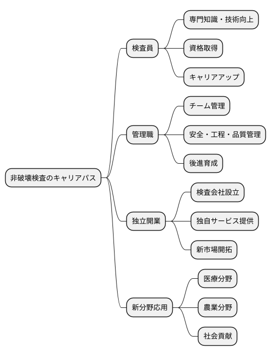 キャリアパスの可能性