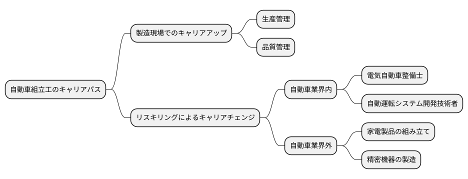 将来のキャリアパス